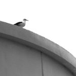 利博平台的用户评价:真实玩家的使用体验分享 3n4so5a