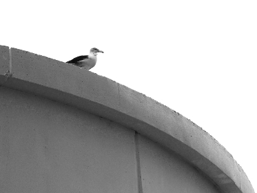 利博平台的用户评价：真实玩家的使用体验分享