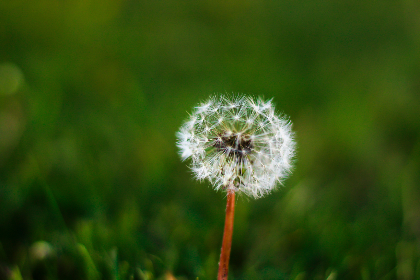 凯盛娱乐：为用户提供无与伦比的游戏体验