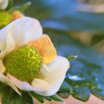 加入bet365体育娱乐:新用户注册及优惠活动详解 po8ksom