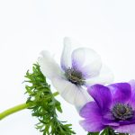 利记平台:探索在线博彩的全新体验与乐趣 z9wb02ul