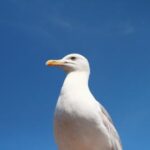 381818期最新开奖结果查询与中奖号码公布 4oadx3pi1v