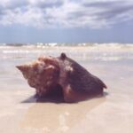 39978铁算开奖结果查询与最新开奖信息公布 7z9g64h