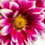 382开奖号最新公布结果与中奖详情 skbcx