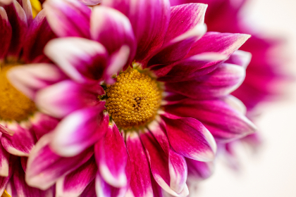 382开奖号最新公布结果与中奖详情 382开奖号最新公布结果与中奖详情